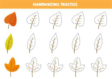 Trace Contours Of Autumn Leaves Educational Worksheet 2248861 Vector