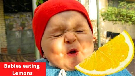 Babies Eating Lemons For The First Time Compilation Youtube