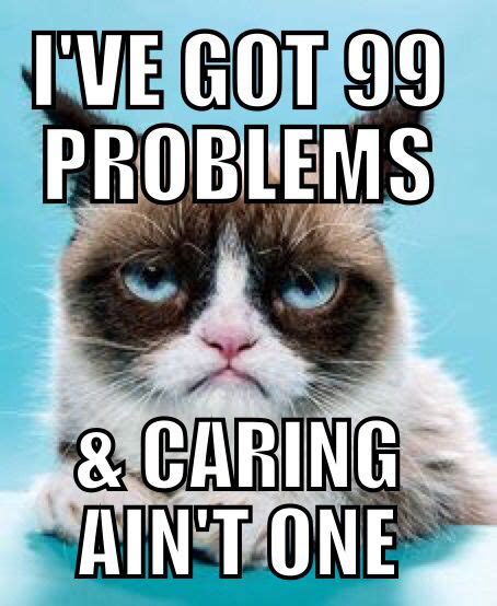 Best 25 Grumpy Cat Sayings Ideas On Pinterest Grumpy