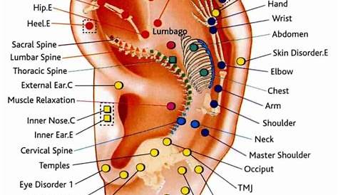 ear piercings chart healing time