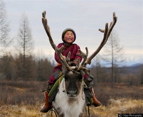 Dukha Mongolian Reindeer Herders Tour Mongolia Tours Nomadic Trails