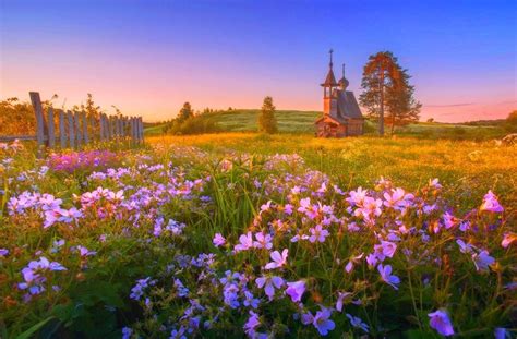 Meadow Pasture Hills Wildflowers Trees Spring Church Flowers Sunset Old