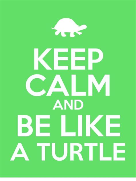 Keep Calm And Be Like A Turtle Turtle Love Tortoise Turtle Cute