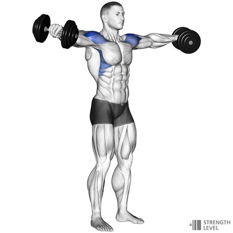 Dumbbell Lateral Raise How To Strength Level