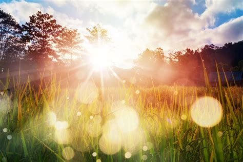How Sunlight Can Help You Live Well With Parkinsons Davis Phinney