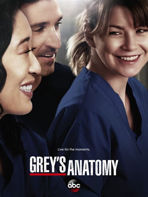 Greys Anatomy Poster Affiches Posters Et Images De Greys Anatomy