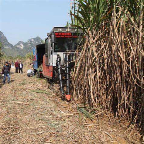 China Whole Stalk Sugarcane Harvester Machine China Harvester Sugarcane Harvester