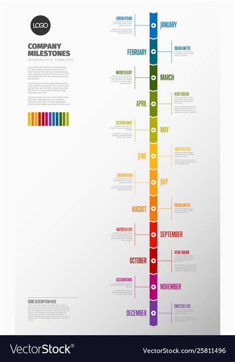 Full Year Timeline Template Royalty Free Vector Image