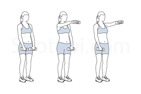 Dumbbell Front Raise Shoulder Workout Workout Guide Front Raises