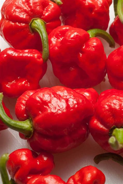 Shu is a way of quantifying how spicy a pepper is by measuring the concentration of capsaicinoids. What are the Hottest Peppers in the World? 2019 List ...