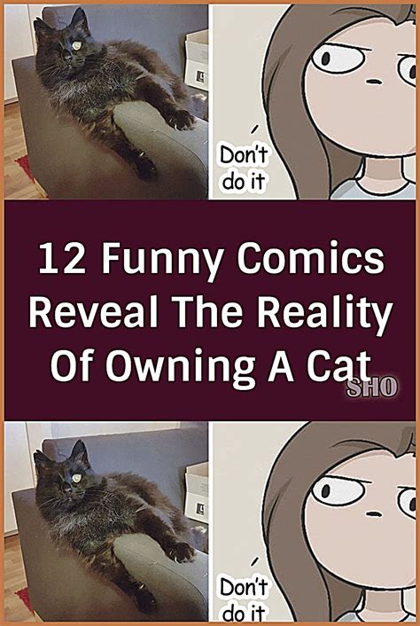 12 Funny Comics Reveal The Reality Of Owning A Cat In 2023 Funny