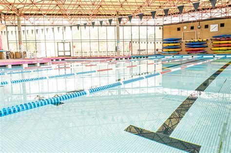 Swimming Pool Sport At La Trobe Facilities Bundoora Sports