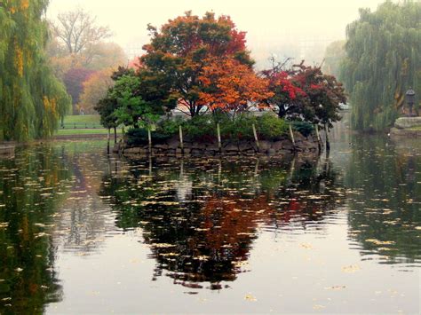 Early Autumn Foggy Morning New England