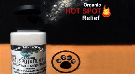 Organic Hot Spot And Itch Powder For Dogs Bacinaturals For Dogs