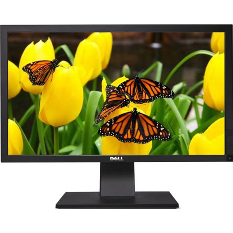 Monitor Profesional Full Hd Dell P2411hb 24 Inch Led Backlight 5 Ms