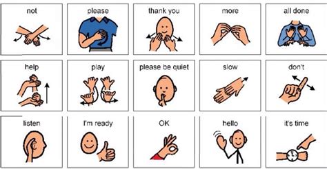 Learn Sign Language By Bridget Mitchell Musely