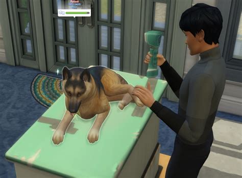 The Sims 4 All Dlc Cats And Dogs Free Oregondast