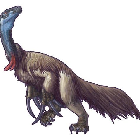 Therizinosaurus Cheloniformis Prehistoric Animals Ancient Animals