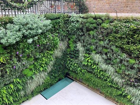 Meristem Design Sustainable Living Walls And Modular Green Wall Systems