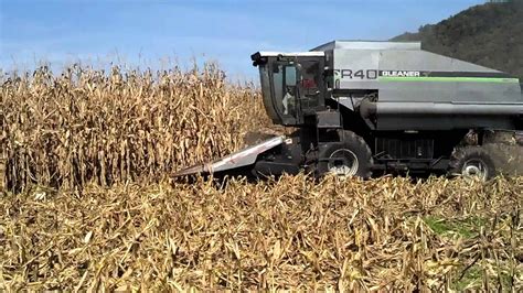 Shelling Corn 2012 With A Gleaner R40 And 630 Head Youtube