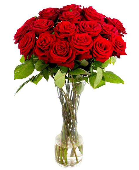 Long Stemmed Roses Lots Of Varieties Discounts Available