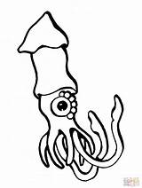 Coloring Squid Animal European Printable Drawing Clipartpanda Giant Clipart Minecraft Supercoloring Presentations Websites Reports Powerpoint Projects Use Terms sketch template