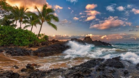 Wallpaper Maui Hawaii Quiet Ocean Rocks Palm Trees Beach
