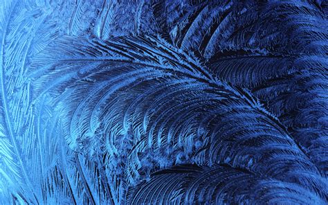 References to intel's latest ice lake sp processors in xcode 13 beta hint at forthcoming mac pro update. Ice Crystal Wallpaper - WallpaperSafari