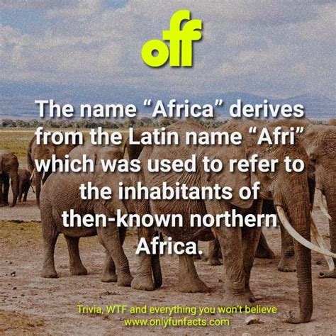 47 Facts About Africa You Didnt Know About Only Fun Facts