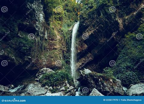 Jungle Mystique Sombre Et Nuageuse Avec Une Cascade Au Centre Du Rocher