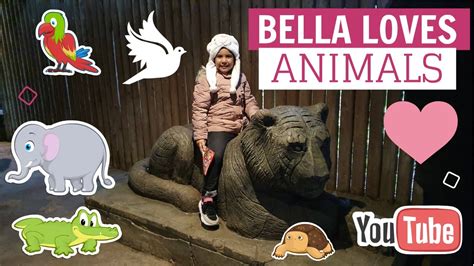 Kids Loves To Meet Animals Kids Animals Interactions Bella Love