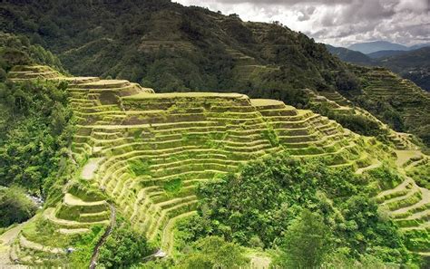 Banaue Rice Terraces Alluring World