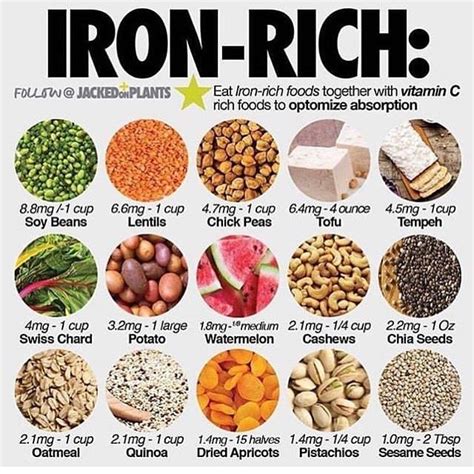 Iron Is An Essential Nutrient That Plays An Important Role In Many Bodily Functions 1 A Diet