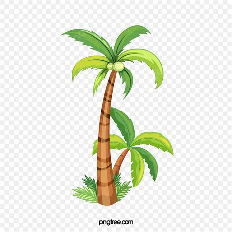 Free Download Tree Png Picture Vector Coconut Tree Free Download