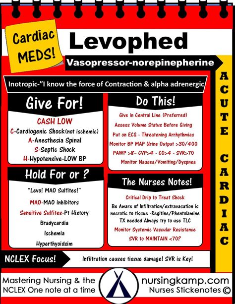 Levophed Norepinepherine Vasopressor Nursing Notes Nurse