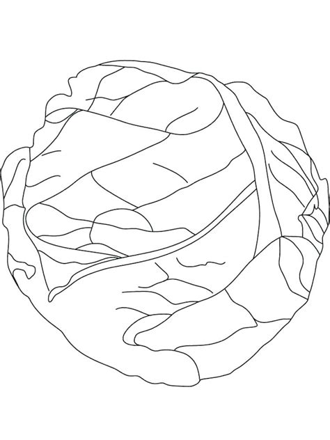 Lettuce Coloring Page At GetColorings Com Free Printable Colorings Pages To Print And Color