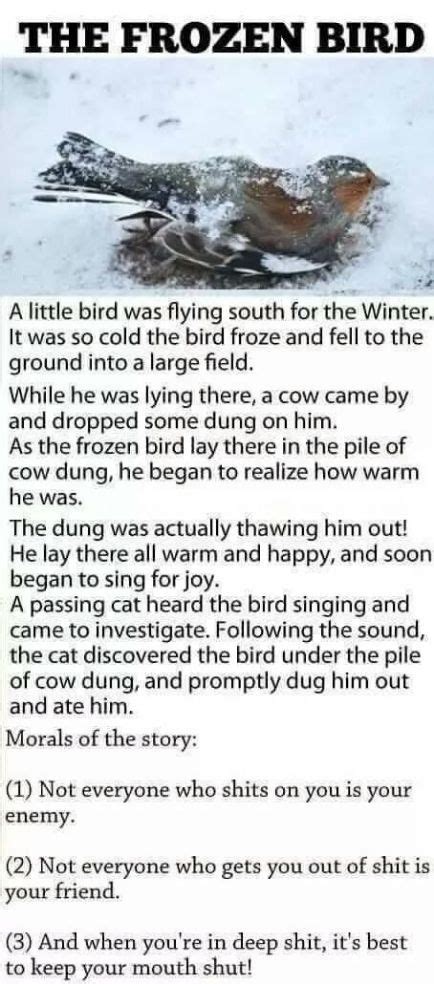 Story In Pictures On Twitter Good Moral Stories Bird Quotes Funny