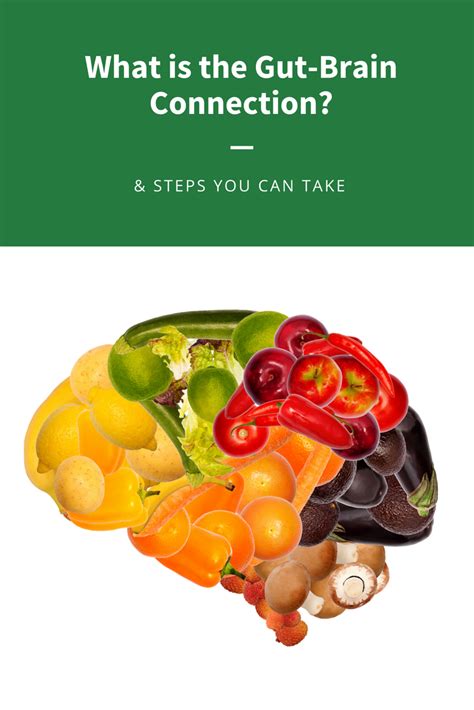 What Is The Gut Brain Connection Steps You Can Take Rejoice