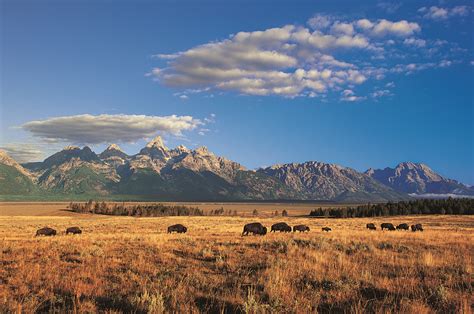 Talking Grasslands With Ted Turner Huffpost