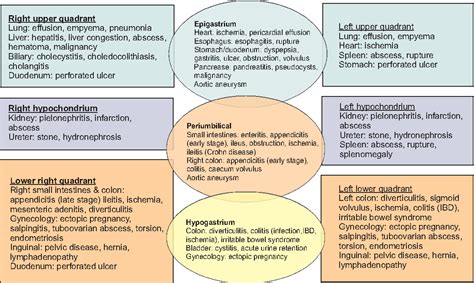 Left Lower Abdominal Pain Differential Diagnosis Ovulation Symptoms