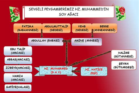 Hz Muhammed in Soy Ağacı sitem