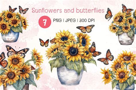 Watercolor Sunflowers And Butterflies Graphic By Brown Cupple Design