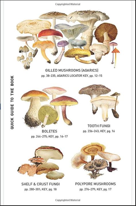 Peterson Field Guide To Mushrooms Of North America Second Edition A