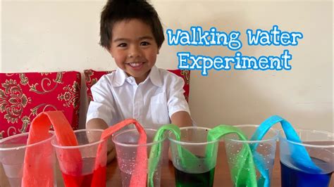 Walking Water Science Experiment For Kids Youtube