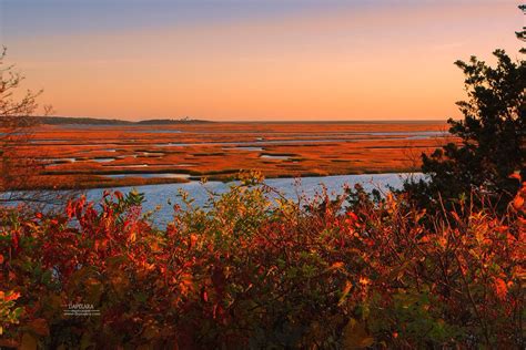 Dapixara On Twitter A Golden Fall Sunrise On Cape Cod National Park