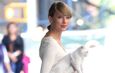 Lifestyles Of The Rich And Furry The 17 Most Pampered Celebrity Pets