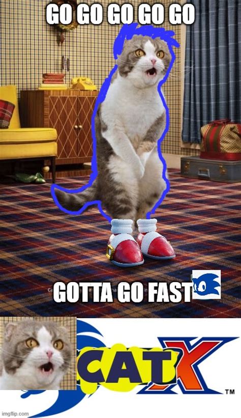Gotta Go Fast Memes And S Imgflip