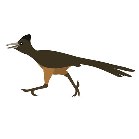 Road Runner Clipart Free Download On Clipartmag