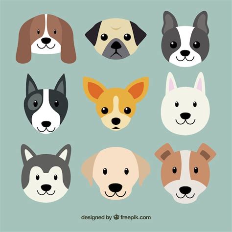Free Vector Cute Dog Breeds