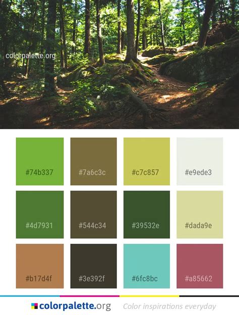 Nature Tree Forest Color Palette